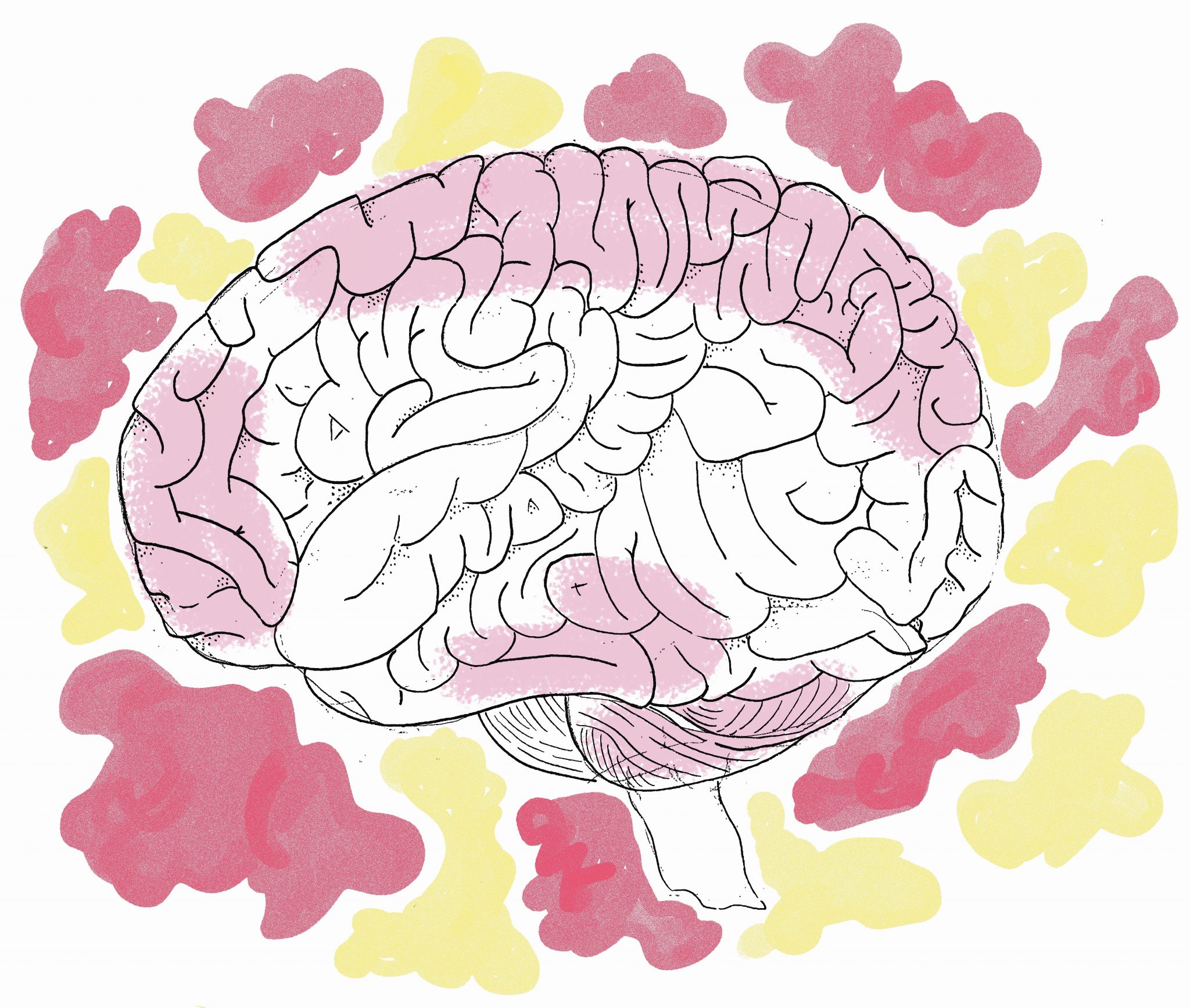 endorphin hypothesis