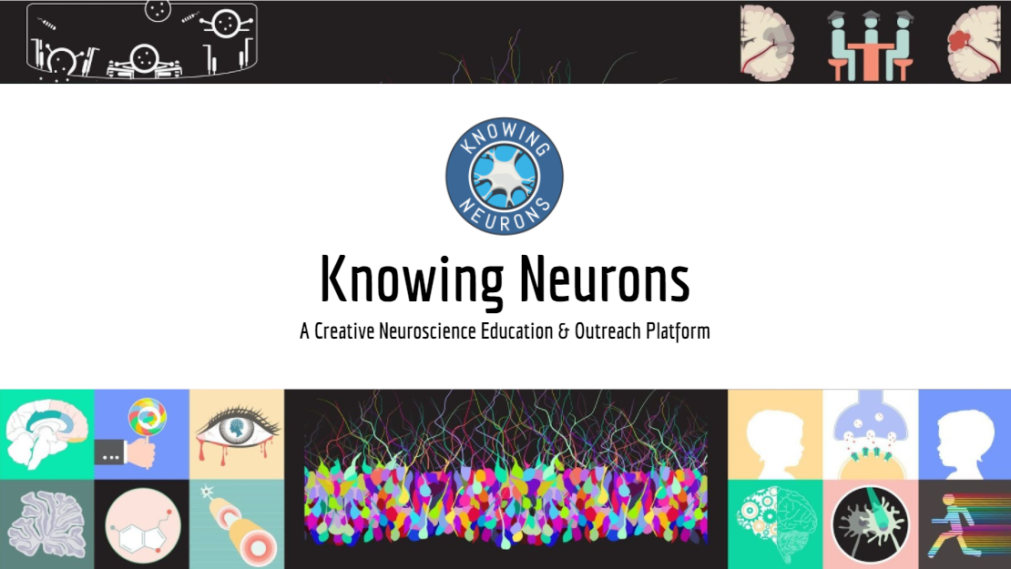 Knowing Neurons logo