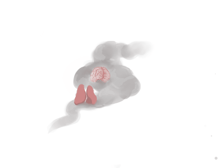 Artwork depicting a brain and a pair of lungs wrapped in smoke