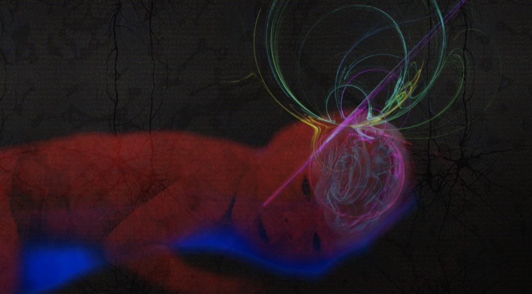 The Neurophysiology of Fatherhood