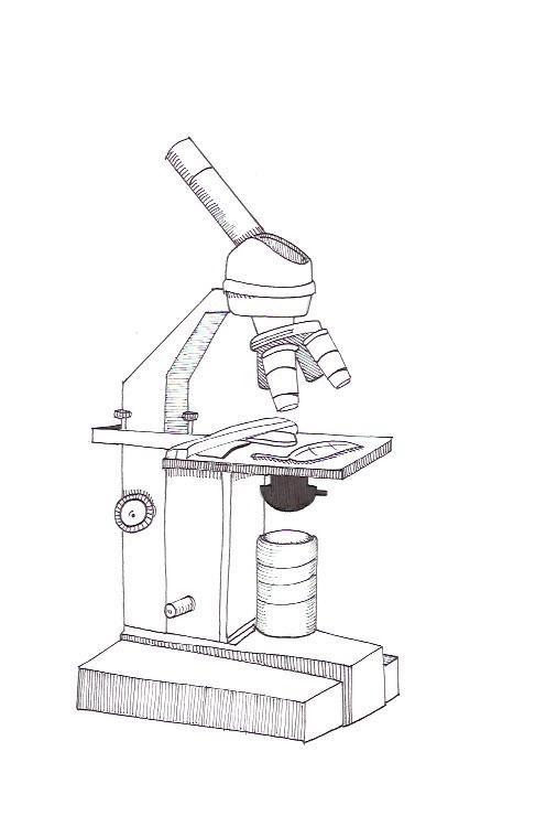 Drawing of a microscope hi-res stock photography and images - Alamy