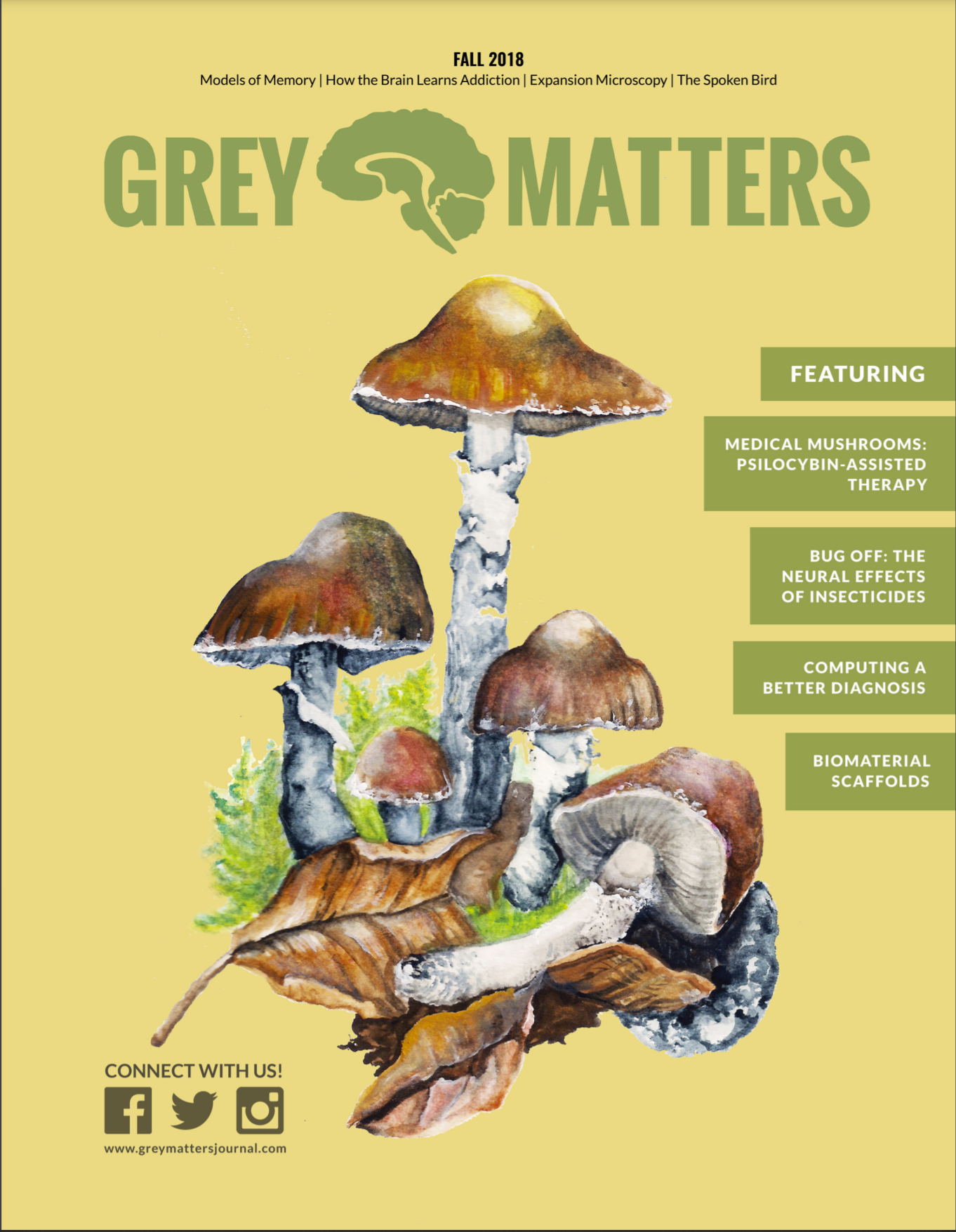 Grey Matters Journal Issue 15
