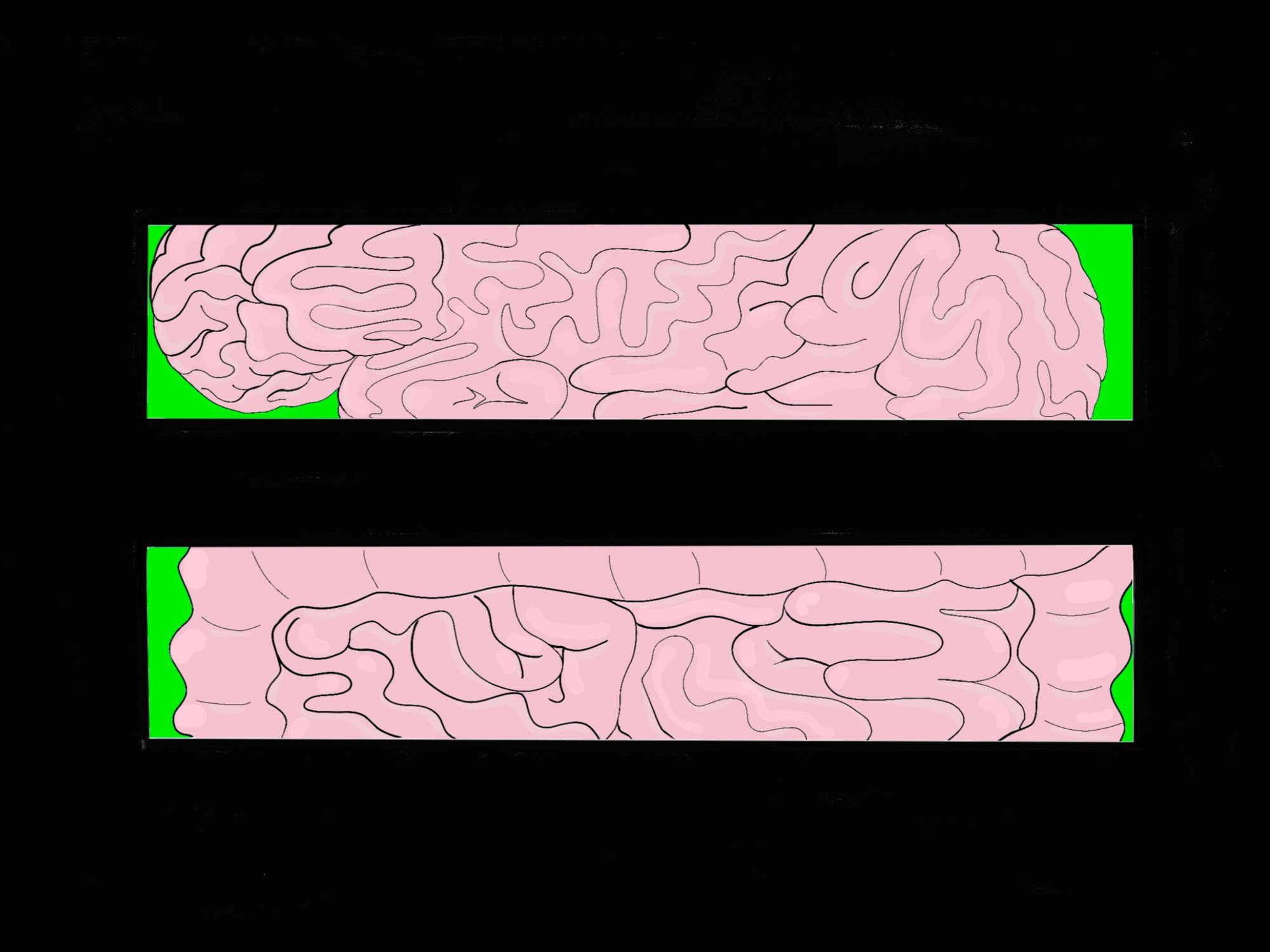 2nd brain