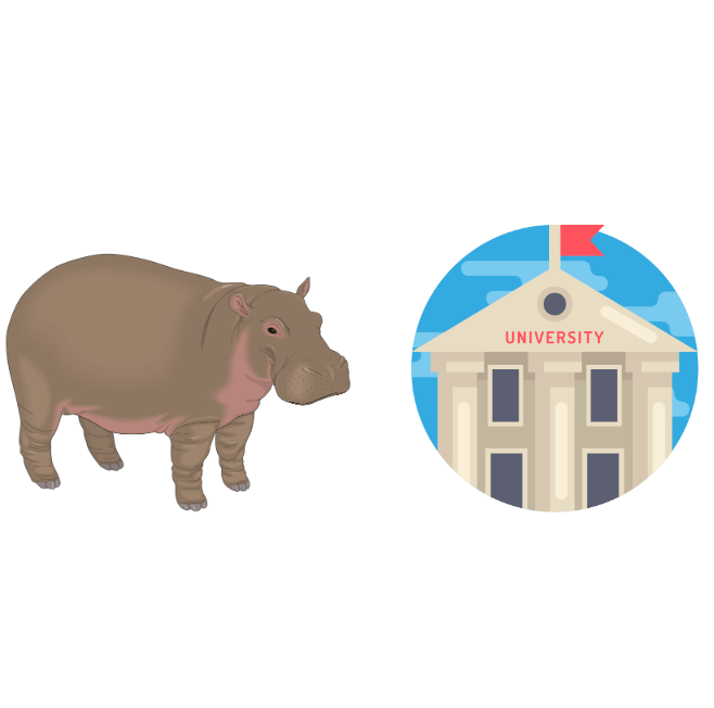 a hippopotamous and an university building