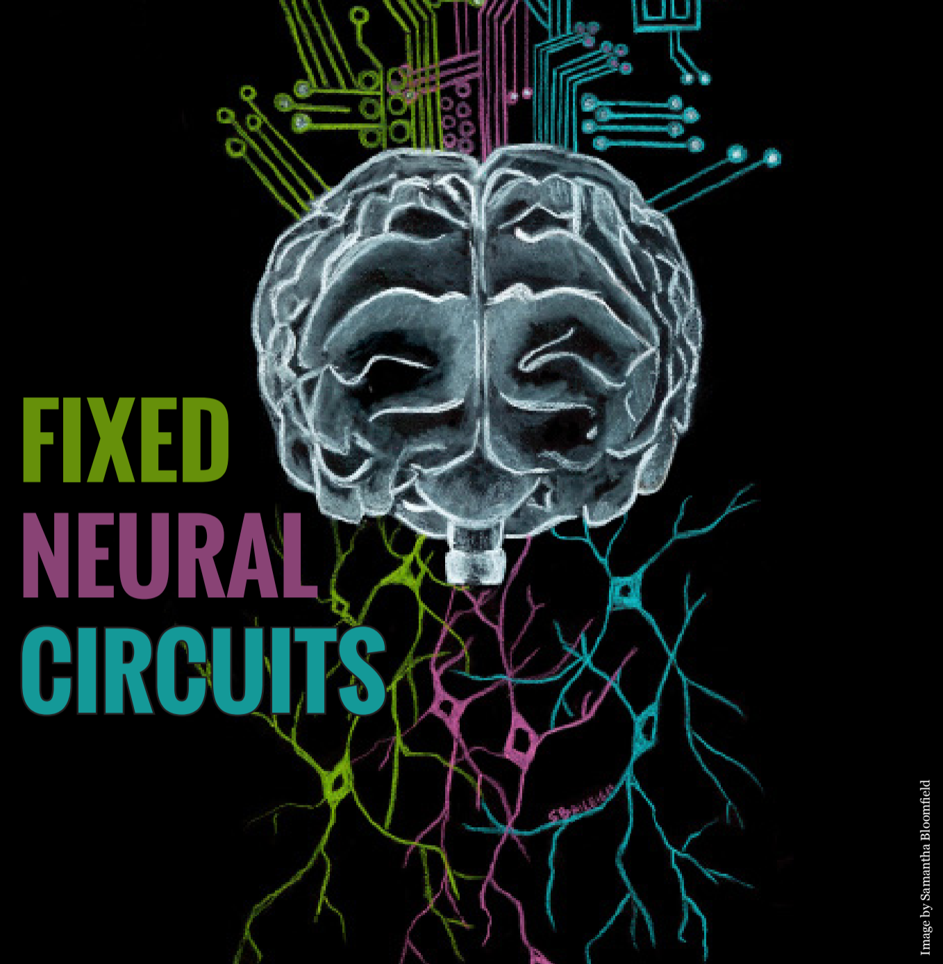 Fixed Neural Circuits