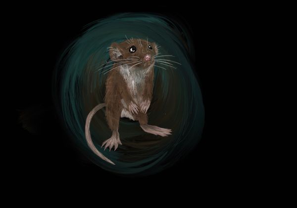 Of Mice and Men: Rodent Models in Neuroscience Research