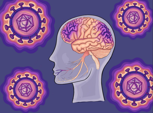 Herpesvirus: A Cunning Neurotropic Virus and What We Can Learn From It